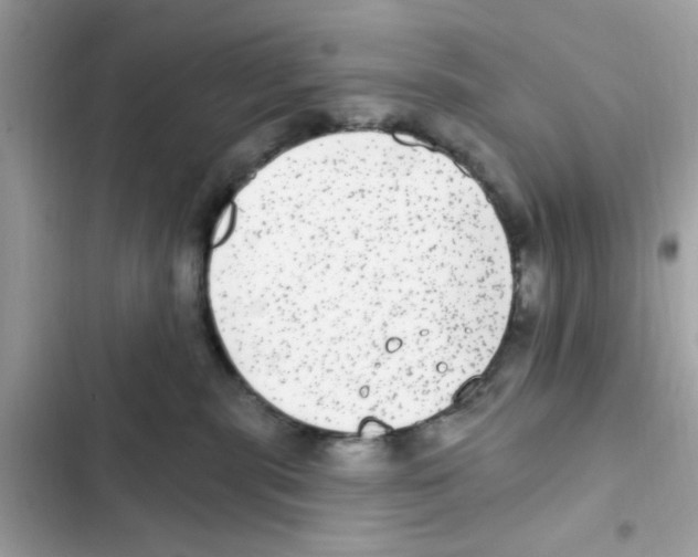 X0000101970283200808151345