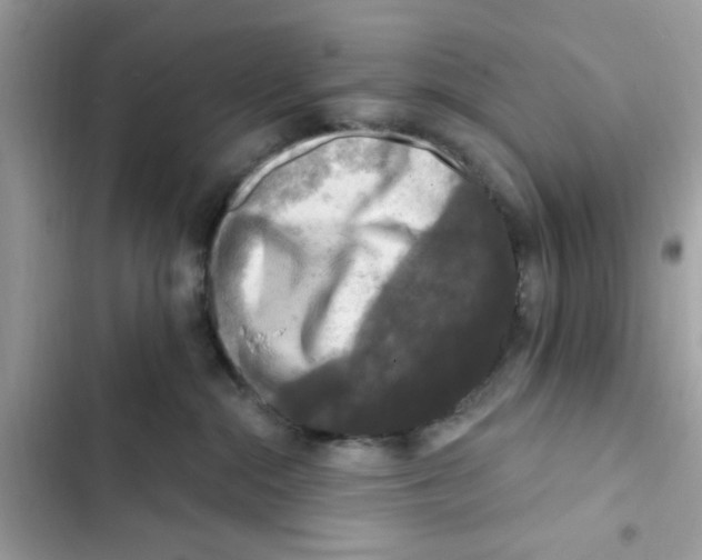 X0000101970284200808151345