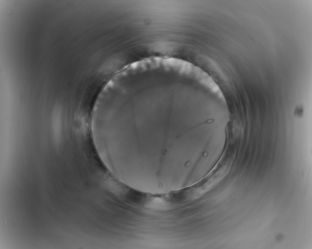 X0000101970285200808151345