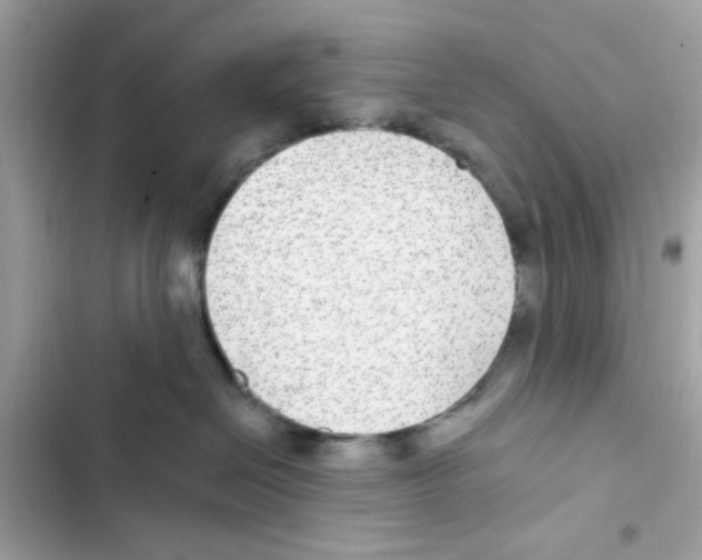 X0000101970286200808151345