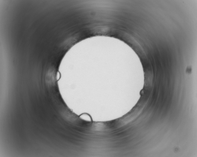 X0000101970287200808151345