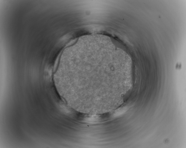 X0000101970288200808151345