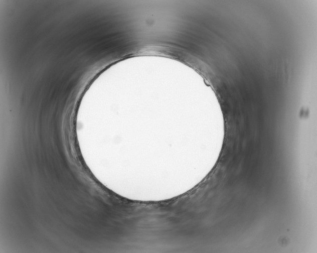 X0000101970289200808151344