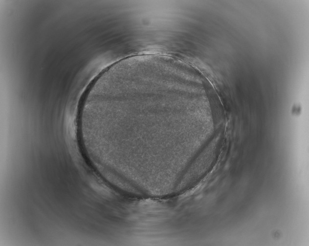 X0000101970290200808151344
