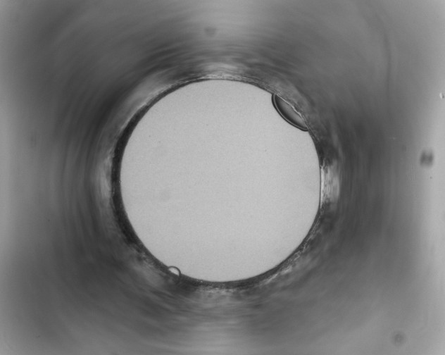 X0000101970291200808151344