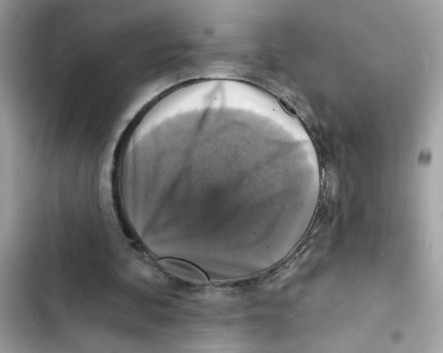 X0000101970292200808151344