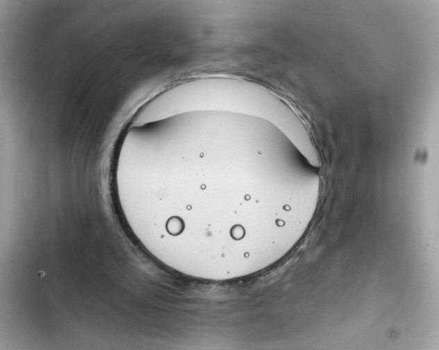 X0000101970293200808151344
