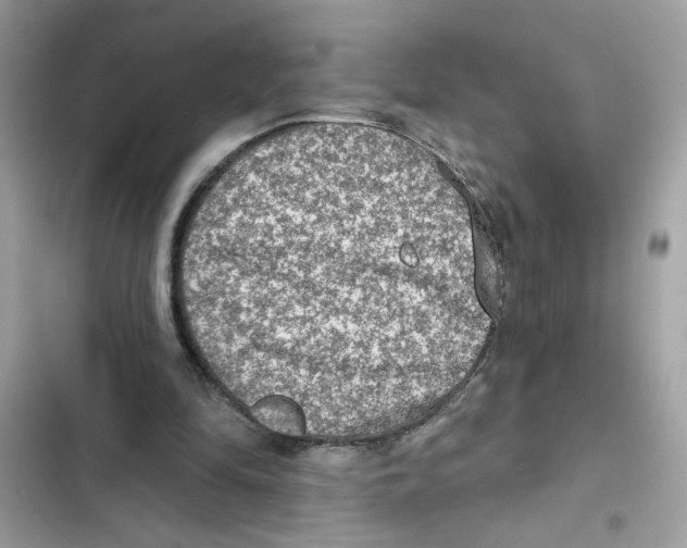 X0000101970294200808151344