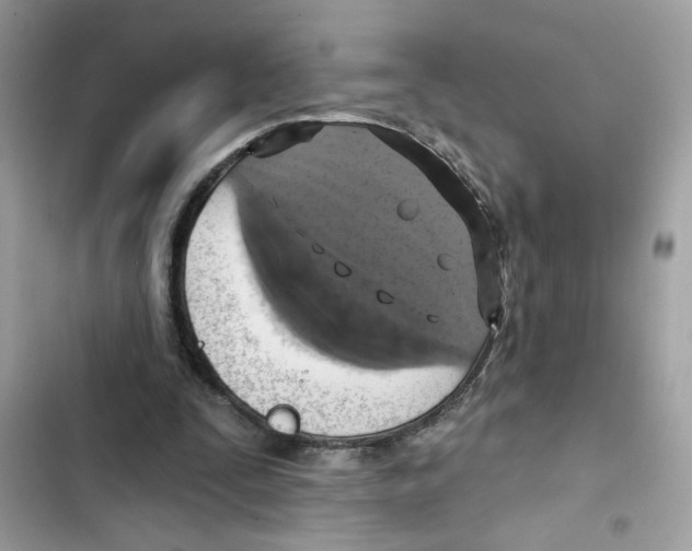 X0000101970295200808151344
