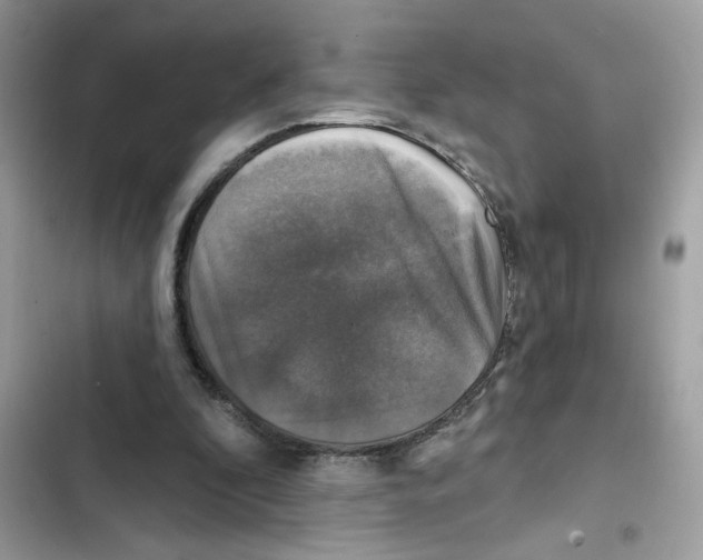 X0000101970296200808151344