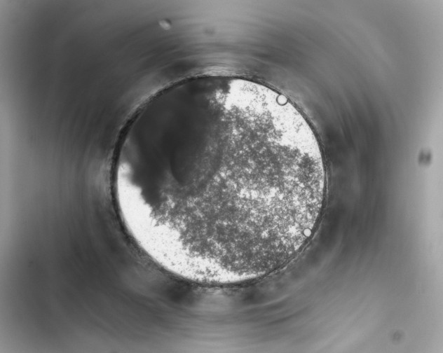X0000101970297200808151344