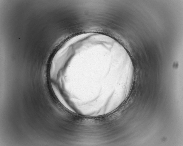 X0000101970298200808151344