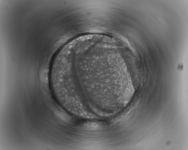 X0000101970299200808151344