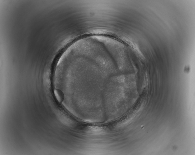 X0000101970300200808151344