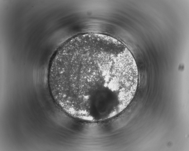 X0000101970301200808151344