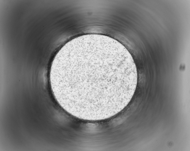 X0000101970302200808151344
