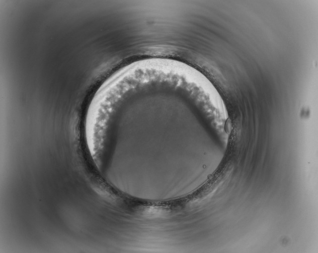 X0000101970303200808151344