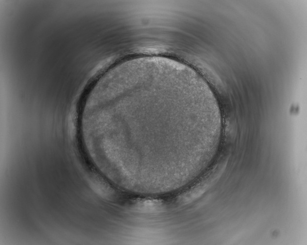 X0000101970304200808151344