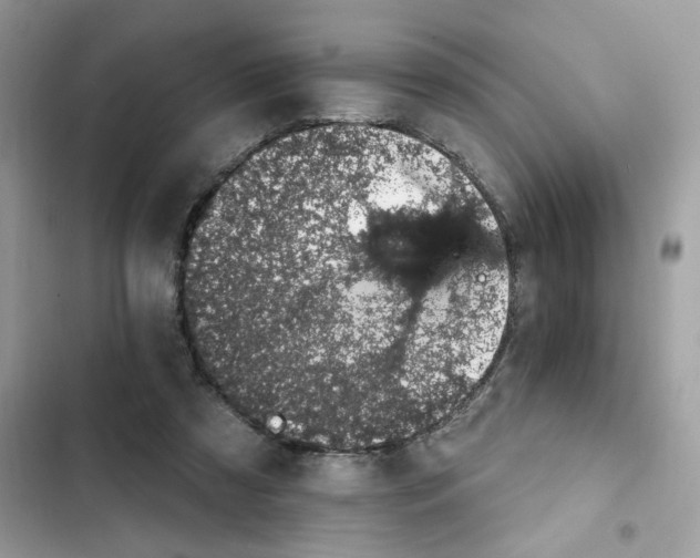X0000101970305200808151344