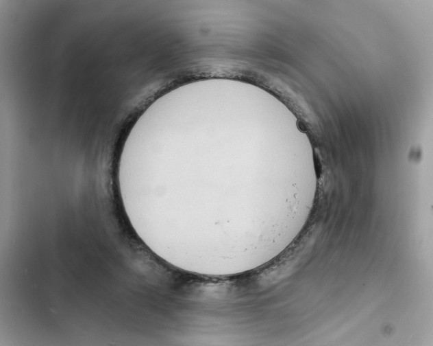 X0000101970306200808151344