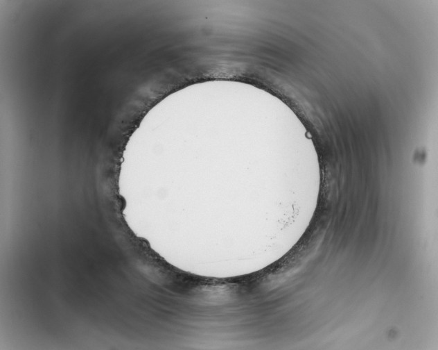X0000101970307200808151344