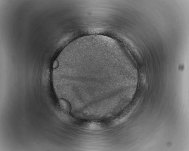 X0000101970308200808151344