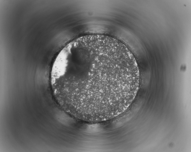 X0000101970309200808151344