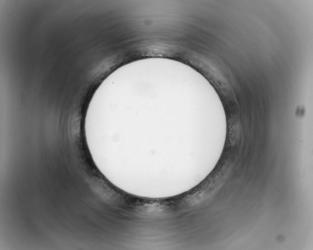 X0000101970310200808151344