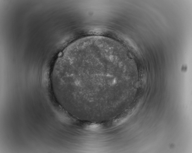 X0000101970312200808151344