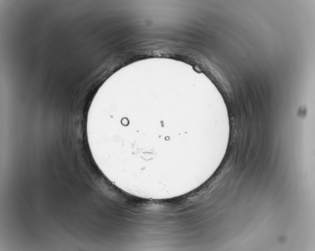 X0000101970313200808151344