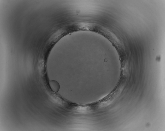X0000101970314200808151344
