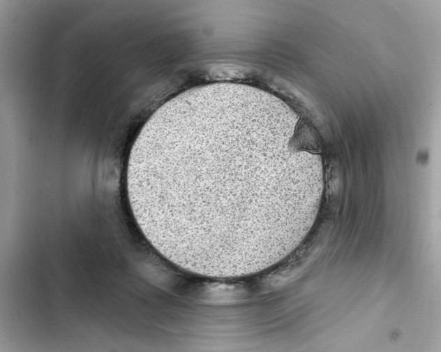 X0000101970315200808151344