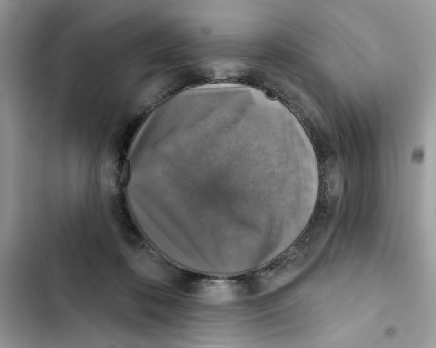 X0000101970316200808151344