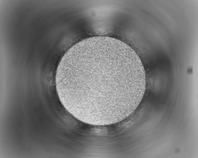 X0000101970317200808151344
