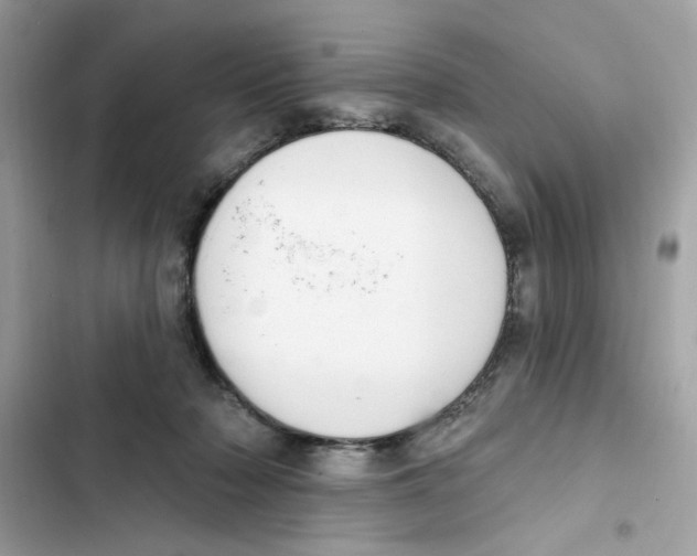 X0000101970318200808151344