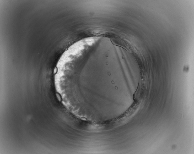 X0000101970319200808151344