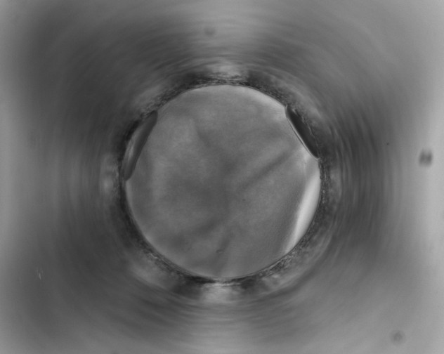 X0000101970320200808151344