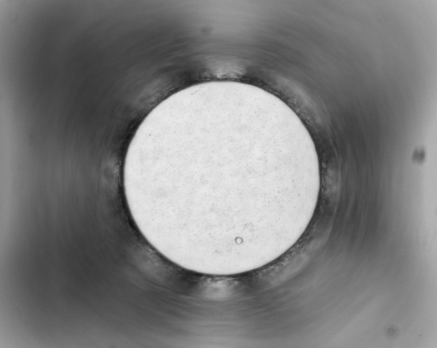 X0000101970321200808151344