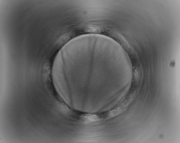 X0000101970322200808151344