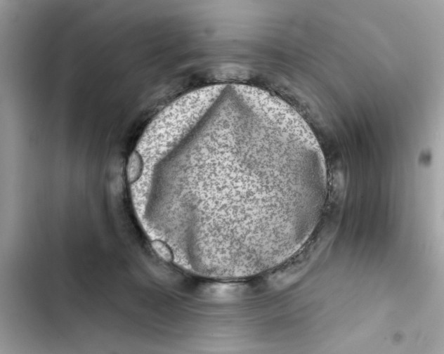 X0000101970323200808151344