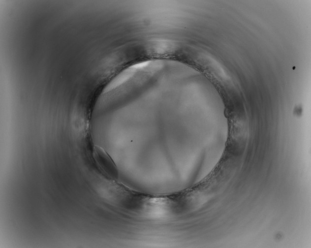 X0000101970324200808151344