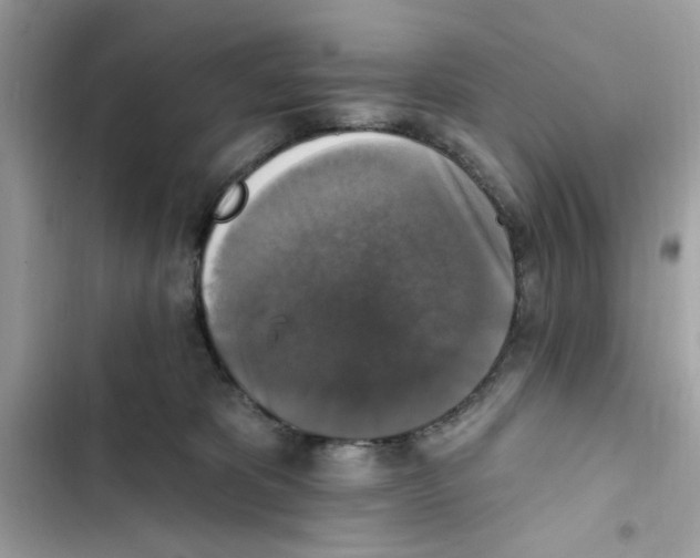 X0000101970325200808151344