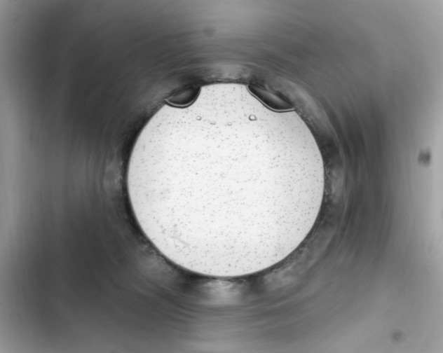 X0000101970326200808151344