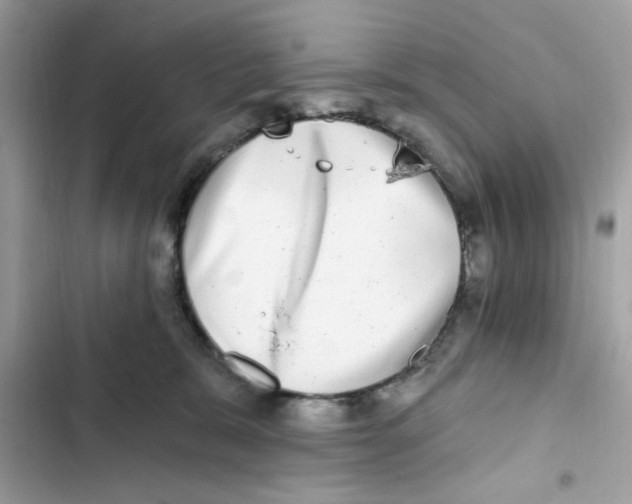 X0000101970327200808151344