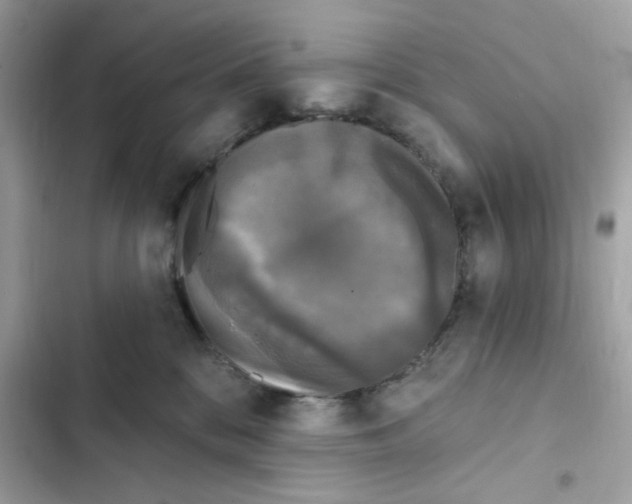 X0000101970328200808151344