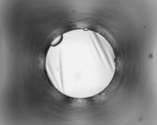 X0000101970329200808151344