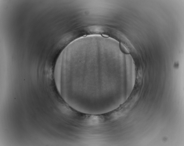 X0000101970330200808151344