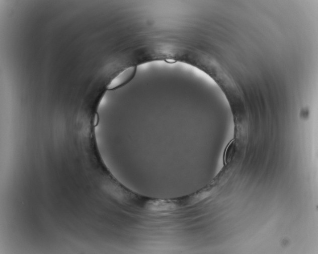 X0000101970331200808151344