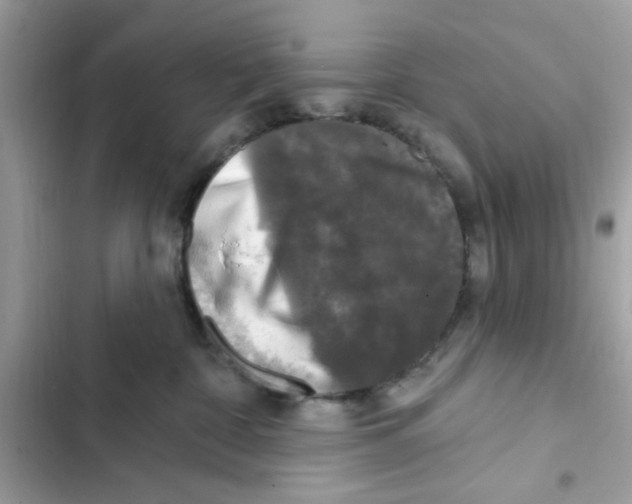 X0000101970332200808151344