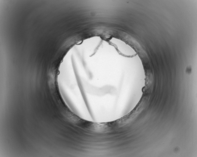 X0000101970333200808151344